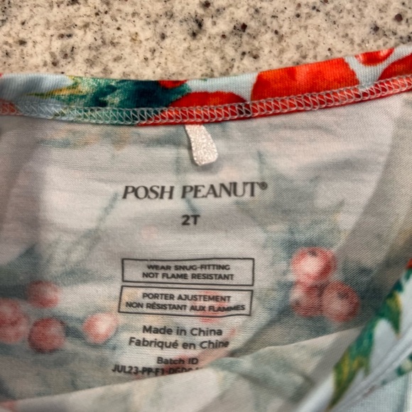 Posh Peanut Banboo Pajamas Christmas Winter 2T - Picture 4 of 7